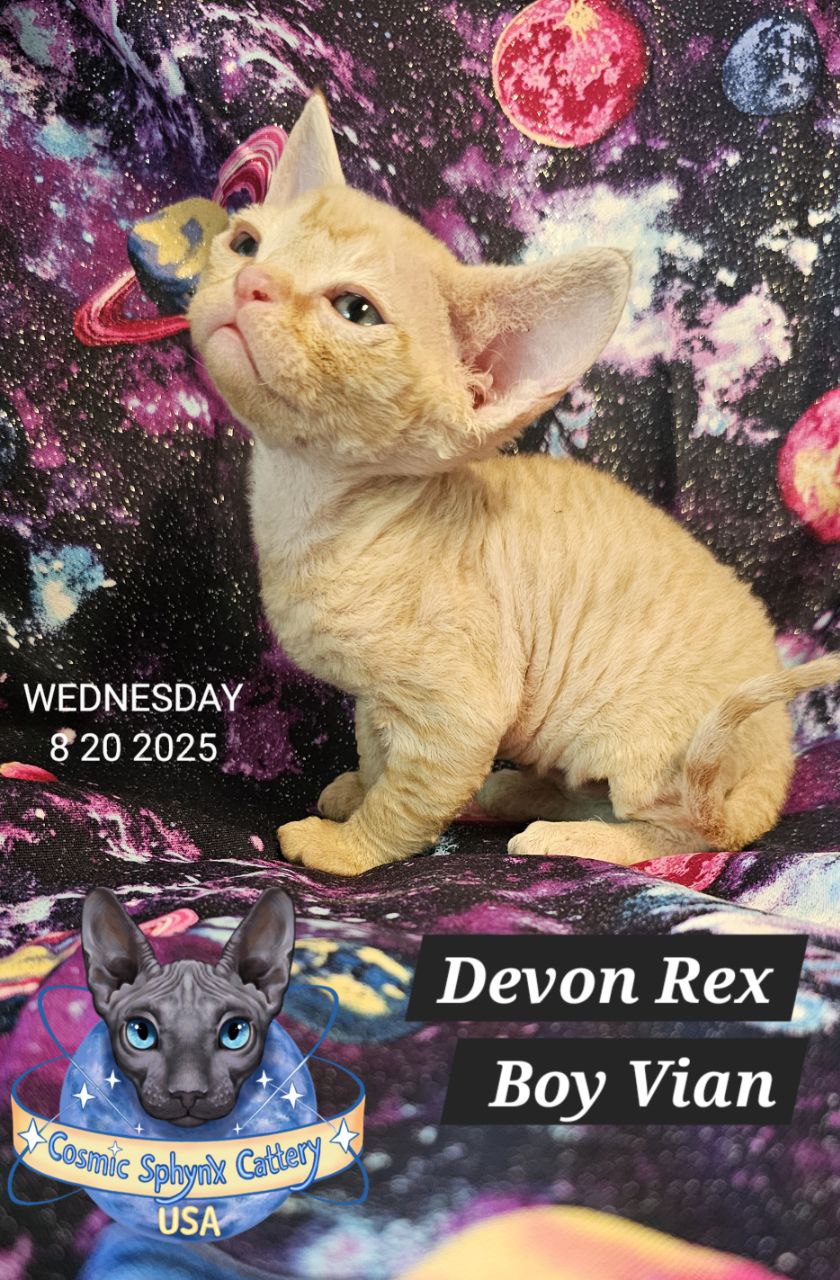 4985905136404639503